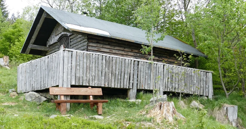 Was gibt es im Volkspark Rehberge zu sehen?