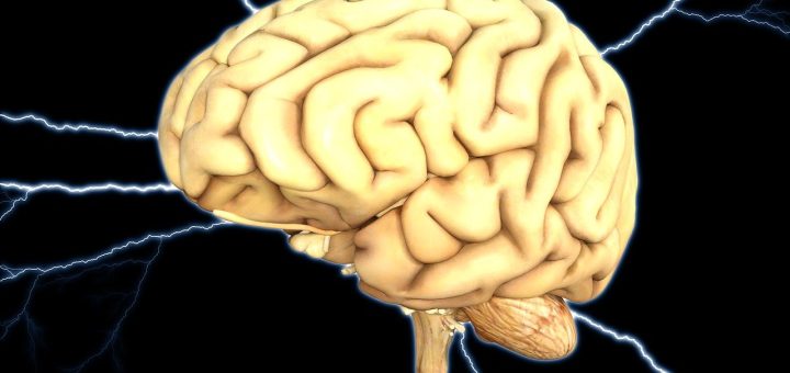 entdecken sie die faszinierenden aspekte der kognition – von den grundlagen der wahrnehmung bis hin zu komplexen denkprozessen. erfahren sie, wie unser gehirn informationen verarbeitet und entscheidungen trifft, und tauchen sie ein in die welt der kognitiven wissenschaften.