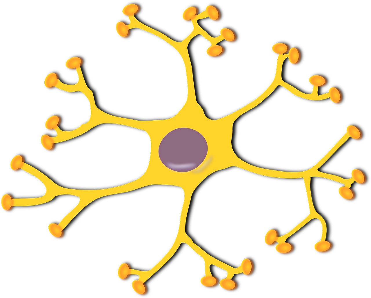 entdecken sie die faszinierende welt der kognition! erfahren sie, wie unser gehirn funktioniert, gedanken entsteht und entscheidungsprozesse ablaufen. tauchen sie ein in die forschung über wahrnehmung, gedächtnis und intelligenz und erweitern sie ihr wissen über die menschliche denkfähigkeit.