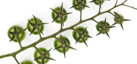 effiziente familienorganisation: tipps und tools für einen harmonischen alltag und stressfreies zeitmanagement in der familie.