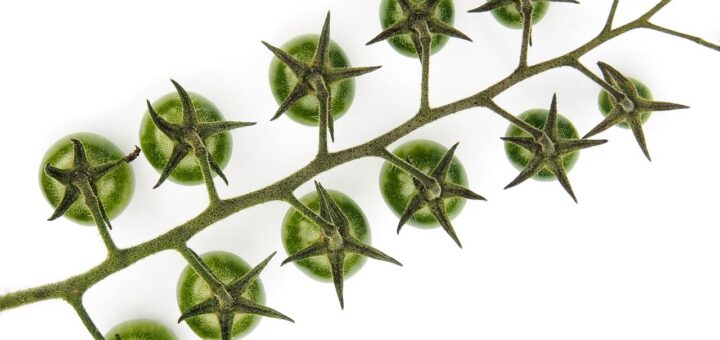 effiziente familienorganisation: tipps und tools für einen harmonischen alltag und stressfreies zeitmanagement in der familie.