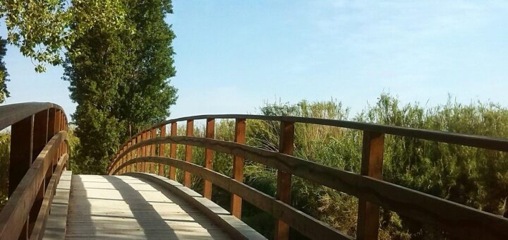 erfahren sie alles &uuml;ber unternehmertum: tipps, strategien und inspiration f&uuml;r angehende und erfahrene unternehmer.