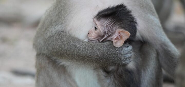erfahren sie alles &uuml;ber die verl&auml;ngerung des elterngeldes und wie sie von erweiterten elternzeitregelungen profitieren k&ouml;nnen.