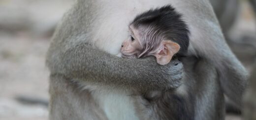 erfahren sie alles wichtige zum elterngeldgesetz 2025: neue regelungen, anspruchsvoraussetzungen und tipps f&uuml;r elternzeit in deutschland.
